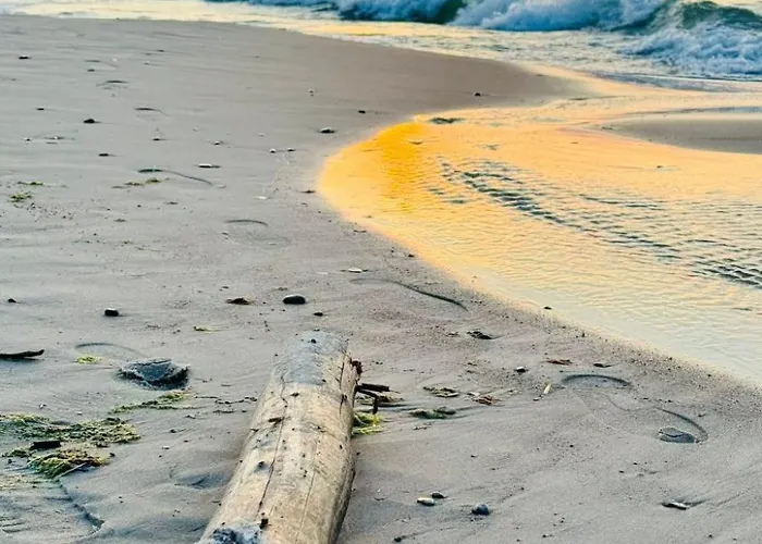 Semesterbostad Gemuetliches An Der Ostsee - Haus Nr- 4 By Interhome